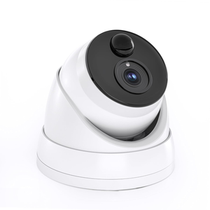 Swann Add-On DVR Dome Security Camera 1080p FHD Indoor/Outdoor SWPRO-1080MSD-US