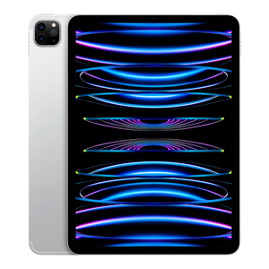 Apple iPad Pro 11" 4th Gen WiFi + Cellular Tablet 2TB - Silver MP5H3LL/A 2021