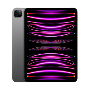 Apple iPad Pro 11" M2 Chip 4th Generation