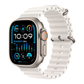 Apple Watch Ultra 2 49mm (Ocean Band)
