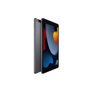 Apple 10.2" iPad 9th Gen A13 64GB Space Gray WiFi Cellular MK663LL/A 2021 Model
