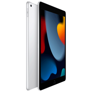Apple 10.2" iPad 9th Generation 256GB Silver MK2P3LL/A Wi-Fi Tablet 2021 Model